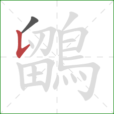 鶹的笔顺第2画:竖提 鶹的笔顺第2画:竖提