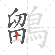 鶹的笔顺第9画:竖 鶹的笔顺第9画:竖