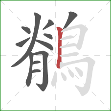 鶺的笔顺第12画:竖 鶺的笔顺第12画:竖