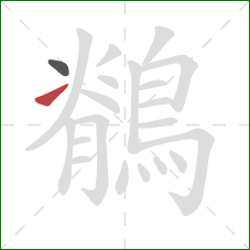 鶺的笔顺第2画:提 鶺的笔顺第2画:提