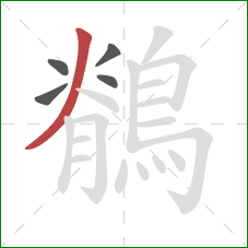 鶺的笔顺第5画:撇 鶺的笔顺第5画:撇