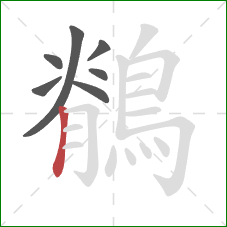 鶺的笔顺第7画:竖 鶺的笔顺第7画:竖