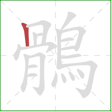 鶻的笔顺第1画:竖 鶻的笔顺第1画:竖