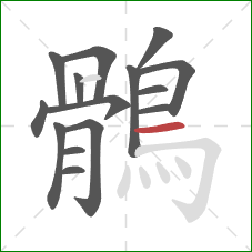 鶻的笔顺第15画:横 鶻的笔顺第15画:横