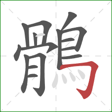 鶻的笔顺第16画:横折钩 鶻的笔顺第16画:横折钩