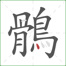 鶻的笔顺第18画:点 鶻的笔顺第18画:点