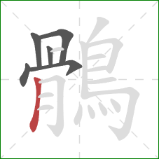 鶻的笔顺第6画:竖 鶻的笔顺第6画:竖