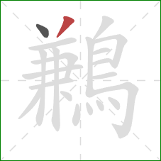 鶼的笔顺第2画:撇 鶼的笔顺第2画:撇