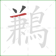 鶼的笔顺第3画:横 鶼的笔顺第3画:横