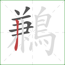 鶼的笔顺第7画:竖 鶼的笔顺第7画:竖