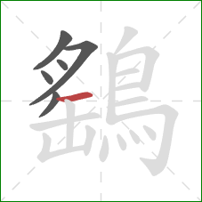 鷂的笔顺第6画:横 鷂的笔顺第6画:横