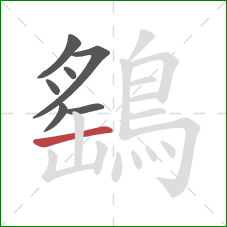 鷂的笔顺第7画:横 鷂的笔顺第7画:横