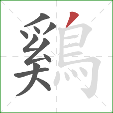 鷄的笔顺第11画:撇 鷄的笔顺第11画:撇