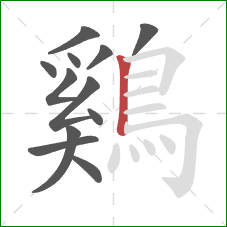 鷄的笔顺第12画:竖 鷄的笔顺第12画:竖