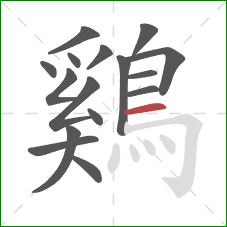 鷄的笔顺第16画:横 鷄的笔顺第16画:横