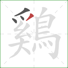 鷄的笔顺第4画:撇 鷄的笔顺第4画:撇