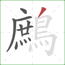 鷓的笔顺第12画:撇 鷓的笔顺第12画:撇