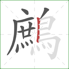 鷓的笔顺第13画:竖 鷓的笔顺第13画:竖