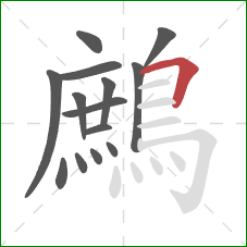 鷓的笔顺第14画:横折 鷓的笔顺第14画:横折