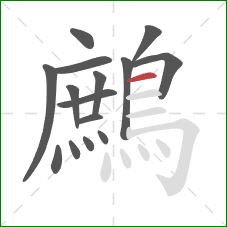 鷓的笔顺第15画:横 鷓的笔顺第15画:横