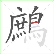 鷓的笔顺第16画:横 鷓的笔顺第16画:横