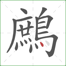鷓的笔顺第21画:点 鷓的笔顺第21画:点