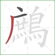 鷓的笔顺第3画:撇 鷓的笔顺第3画:撇