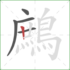 鷓的笔顺第5画:竖 鷓的笔顺第5画:竖