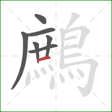 鷓的笔顺第7画:横 鷓的笔顺第7画:横