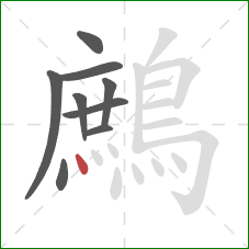 鷓的笔顺第9画:点 鷓的笔顺第9画:点