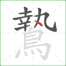 鷙的笔顺第11画：点