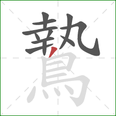 鷙的笔顺第12画：撇