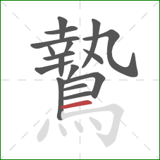 鷙的笔顺第17画：横