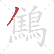 鷦的笔顺第1画：撇