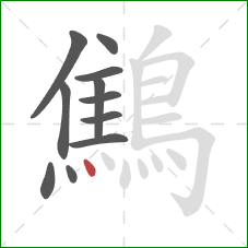 鷦的笔顺第11画：点