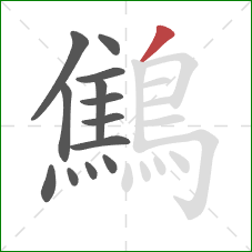 鷦的笔顺第13画：撇