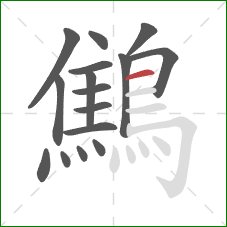 鷦的笔顺第16画：横