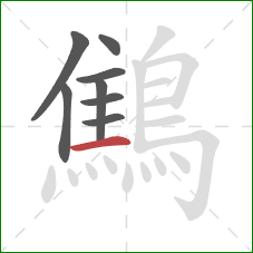 鷦的笔顺第8画：横