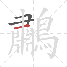 鷫的笔顺第3画：横