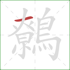 鷯的笔顺第1画:横 鷯的笔顺第1画:横