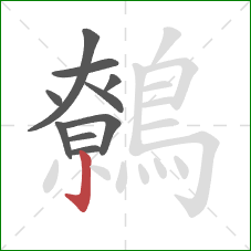 鷯的笔顺第10画:竖钩 鷯的笔顺第10画:竖钩