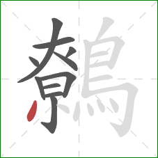 鷯的笔顺第11画:撇 鷯的笔顺第11画:撇