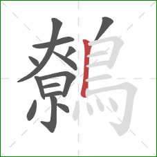 鷯的笔顺第14画:竖 鷯的笔顺第14画:竖