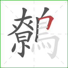 鷯的笔顺第15画:横折 鷯的笔顺第15画:横折
