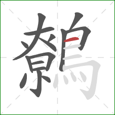 鷯的笔顺第16画:横 鷯的笔顺第16画:横