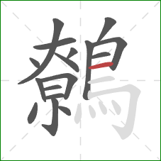 鷯的笔顺第17画:横 鷯的笔顺第17画:横