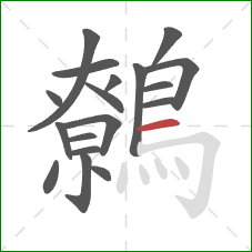 鷯的笔顺第18画:横 鷯的笔顺第18画:横