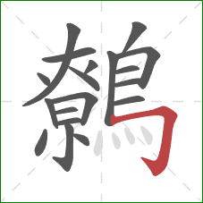 鷯的笔顺第19画:横折钩 鷯的笔顺第19画:横折钩