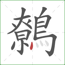 鷯的笔顺第20画:点 鷯的笔顺第20画:点