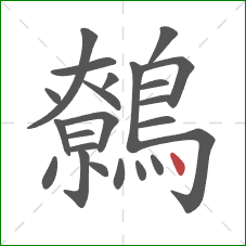 鷯的笔顺第23画:点 鷯的笔顺第23画:点